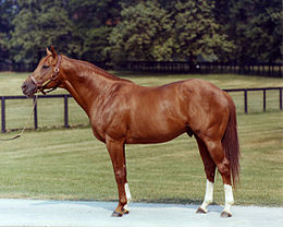 Secretariat wins Kentucky Derby, May 5, 1973 