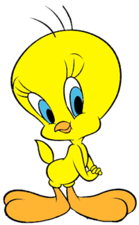 November 21, Tweety Bird