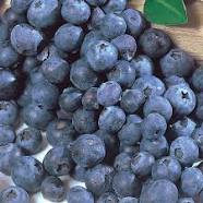 Blueberries