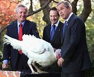 Thanksgiving pardon