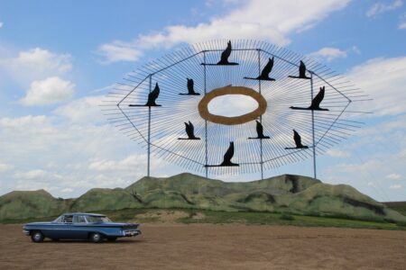 Geese-in-flight, North Dakota