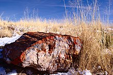 Petrified Forest established December 9, 1962