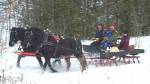 Sleigh Ride